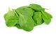 Espinaca