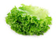 Lechuga 