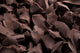 Chocolate negro